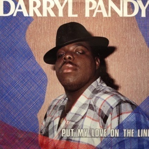 12inchレコード　DARRYL PANDY / PUT MY LOVE ON THE LINE