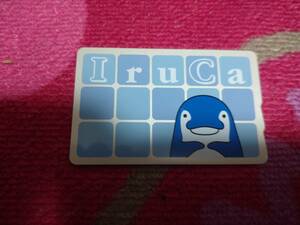 【香川限定】高松琴平電気鉄道ことでん ICカード「IruCa イルカ」　通常版未使用チャージあり　全国相互利用不可