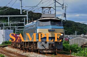 D【鉄道写真】L版５枚　EF66　貨物列車　（４）