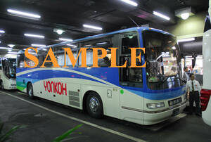 D【バス写真】L版２枚　四国交通　セレガ　大阪線