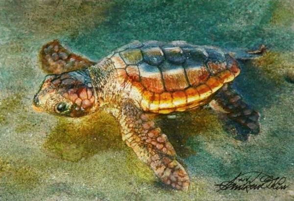 ☆☆☆수채화 위대한 희망: 부화한 거북이 바다로 출발, 그림, 수채화, 동물 그림