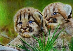 Art hand Auction ☆☆☆Watercolor painting of a fluffy-looking baby bobcat waiting for its parents, Painting, watercolor, Animal paintings