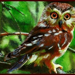 ☆☆☆☆☆水彩画 クールな面立ち 「フクロウ 美と知恵の先導」