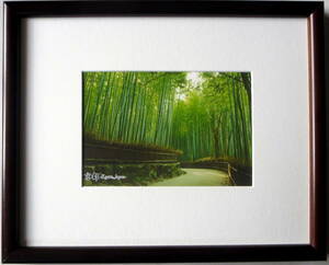 『京都・竹林Ⅱ』風景／ポストカード（写真）