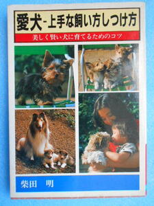 *USED* day text . company * Showa era 59 year issue * Shibata Akira * love dog - skillful ... person upbringing person *