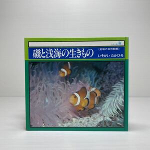 m2/... море. сырой кимоно серии море 9........... выпускать Yu-Mail стоимость доставки 180 иен 