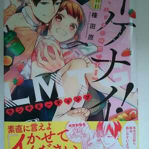 『イケナイLMTG!』Pur Comics 『真一郎さんったら結構ヤラシイ!』全３巻 S*girl Selection TL 権田原の画像2