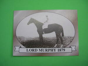 Horse Star 1991 Kentucky Derby #5 Lord Murphy