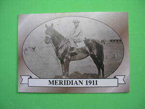 Horse Star 1991 Kentucky Derby #37 Meridian