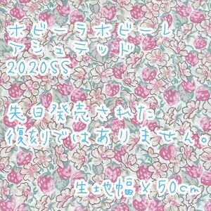 リバティ ホビーラホビーレ2020SS アシュテッド 生地幅×50cm☆70cmも可能です♪