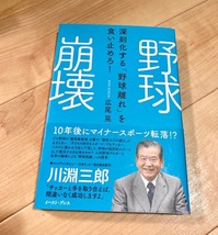 ★即決★送料111円~★除菌シートでクリーニング★野球崩壊 深刻化する「野球離れ」を食い止めろ! 広尾晃 小林至 池井優 鍵山誠 川淵三郎_画像1