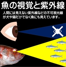 アカムツ仕掛け アカムツ 仕掛け ケイムラ目玉付 ３色フラッシャー ホタ針16号 吹流し３本針仕掛け アカムツ釣り 仕掛け 釣り侍のデコ針_画像3