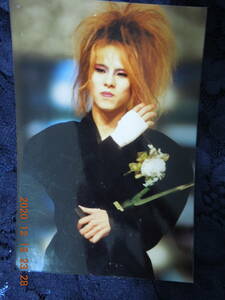 Yoshiki Photo Bromide 456 / X Япония