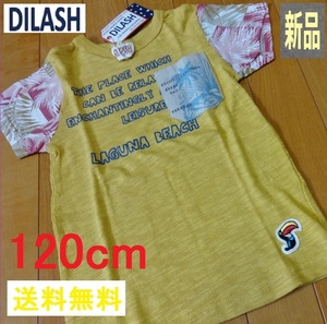 DILASH からし色ラグラン【 KIDS １２０ cm 】スリムフィット ディラッシュ