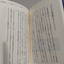 即決アリ！送料無料！ 『 リブラの野望 破壊者か変革者か 』★ 日経 藤井彰夫 西村博之 / Libra フェイスブック / 日経BP_画像6