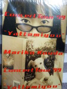 Mariko Kokubu Concert Tour 99 Pamplet Voice Actor Photo Book