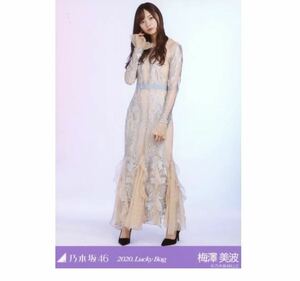 乃木坂46 公式グッズ 【生写真】1枚 梅澤美波　限定品　ヒキ　2020 福袋 Lucky Bag 163