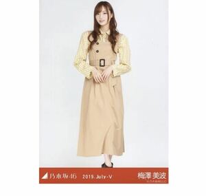 乃木坂46 公式グッズ 【生写真】1枚 梅澤美波　限定品　ギンガムチェック　乃木坂46 2019.July-V 会場限定　ヒキ　69