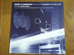 USMUS ★ 中古 LPレコード Bobby D'Ambrosio Michelle Weeks : Moment of My Life 1997年 12インチ ハウス Richie Jones, M&S