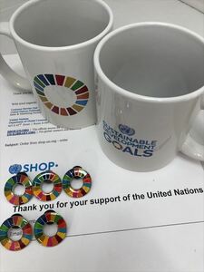  （国連ブックショップ購入・送料無料）SDGs ピンバッジ　 5個(4125円（税込）（新品未使用）(ラバークラスプ再生素材)（小分袋1枚付）UN15
