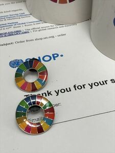 （国連ブックショップ購入・送料無料）SDGs ピンバッジ　2個（1700円税込）（新品未使用）(ラバークラスプ再生素材)（小分袋1枚付) UN12