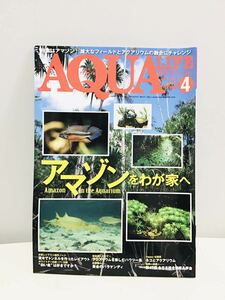 アマゾンをわが家へ　第47回全日本 錦鯉 品評会　初登場 黄金のバラマンディ B8①2016.4