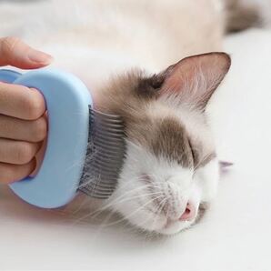 猫耳 グルーミングブラシ ブルー