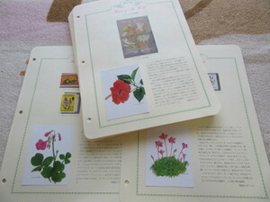 [FLOWER of The World( world. flower stamp collection )] China rose 6 kind contains * explanation attaching approximately 58 seat N1005