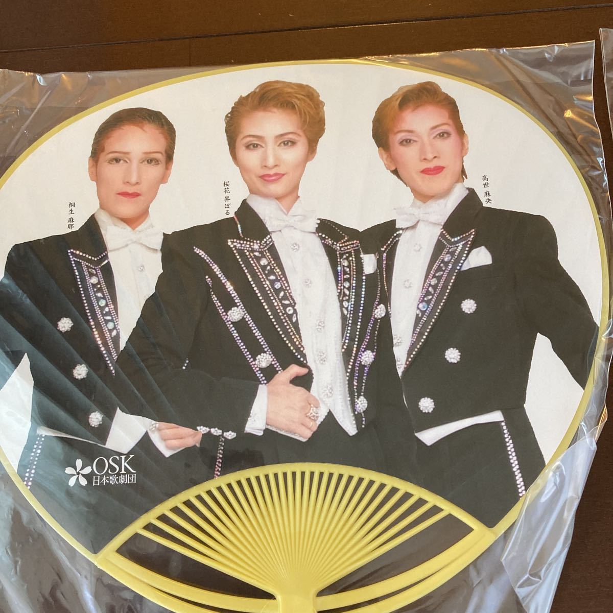 クリアランス在庫 希少 入手困難 非売品 OSK日本歌劇団 パンフレット