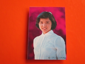 アイドル カード★高田みづえ（小型ブロマイド_1970年代_昭和レトロ・駄菓子屋・山勝）ps