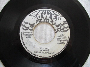 MICHAEL PALMER 7！LICK SHOT♪DISEASES♪JA ORG ならではな音質