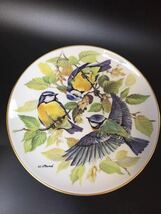 ドイツヴィンテージ ◆ WWF 世界自然保護基金 野鳥 「ブルーティッツ」コレクターズプレート 飾り皿 絵皿_画像7
