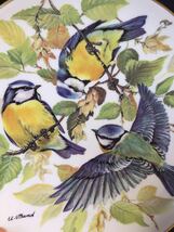 ドイツヴィンテージ ◆ WWF 世界自然保護基金 野鳥 「ブルーティッツ」コレクターズプレート 飾り皿 絵皿_画像5