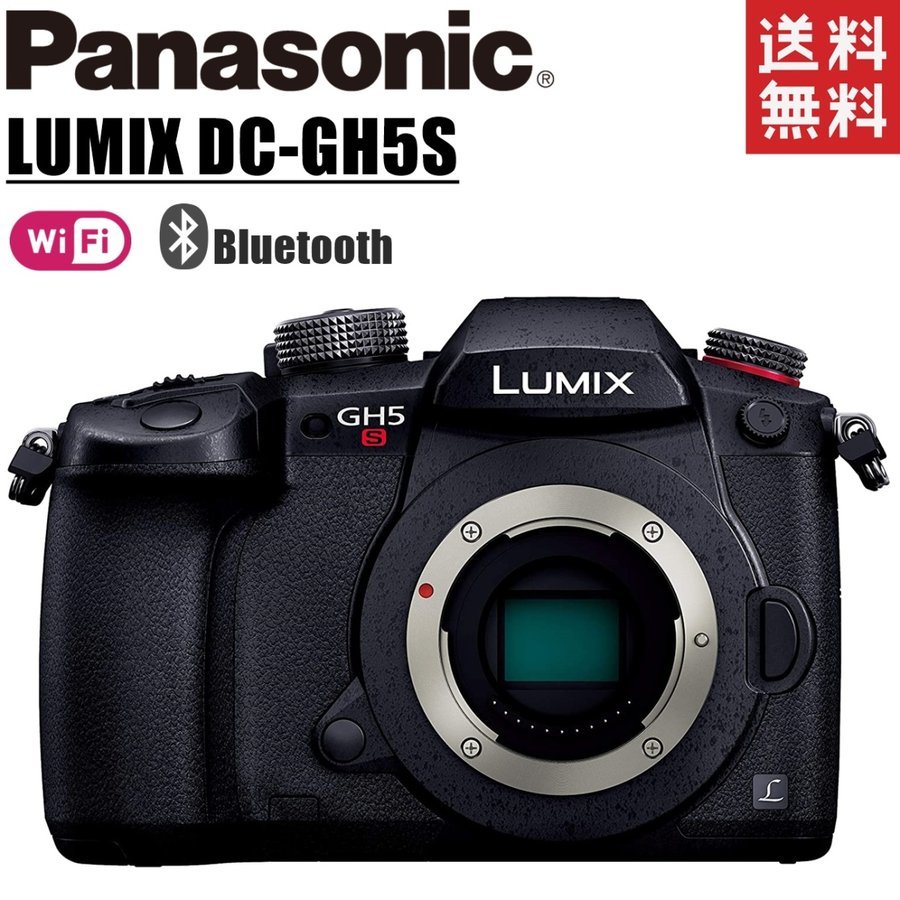 パナソニック LUMIX DC-GH5S ボディ オークション比較 - 価格.com