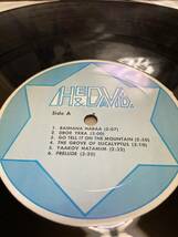 US自主盤LP！ヘドバとダビデ Hedva & David オリジナル盤 HEDVA AMRANI ISRAEL PSYCH FOLK FUNK DRUM BREAKS SOUL ILLUSIONS PRIVATE PRESS_画像2