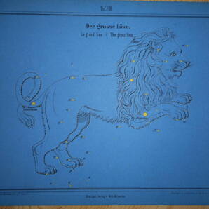 アンティーク、天文、天体、星座早見盤、星図1860年『ブラウン星座カード8 しし座』Star map, Planisphere, Celestial atlas
