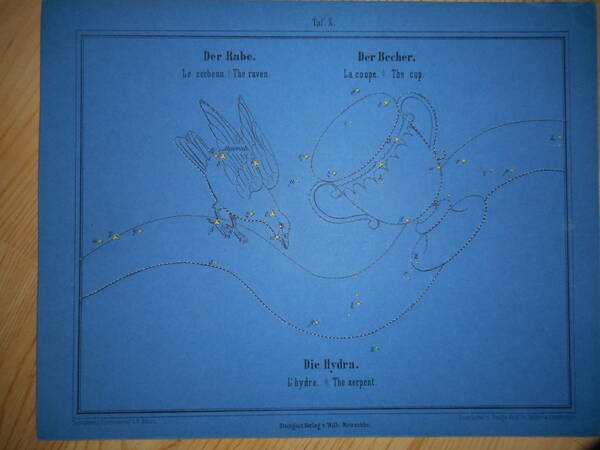 アンティーク、天文、天体、星座早見盤、星図1860年『ブラウン星座カード10　こぐま座、りゅう座』Star map, Planisphere, Celestial atlas