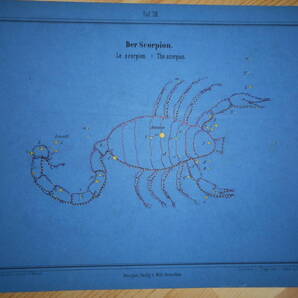 アンティーク、天文、天体、星座早見盤、星図1860年『ブラウン星座カード13 さそり座』Star map, Planisphere, Celestial atlas