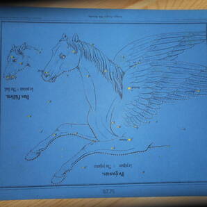 アンティーク、天文、天体、星座早見盤、星図1860年『ブラウン星座カード17 こうま座ペガサス座』Star map, Planisphere, Celestial atlas