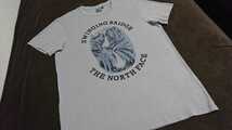 THE NORTH FACE ノースフェイス VIEW POINT TEE Tシャツ グレー L 4_画像2