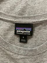 美品 patagonia パタゴニア メンズデイリーティー Ｔシャツ S グレー_画像4