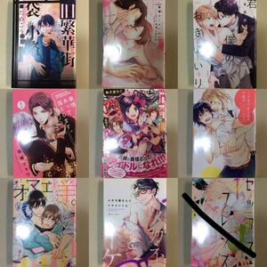 BLコミック ボーイズラブ 21冊セット売り バラ売り 商業漫画 BL漫画