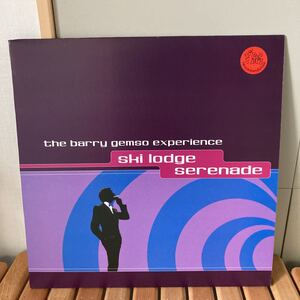 the barry gemso experience、ski lodge serenade、LP、ソフトロック、ボッサノヴァ、イージーリスニング、ネオアコ、オルガンバー