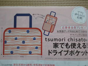 TSUMORI CHISATO