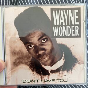 WAYNE WONDER / DON'T HAVE TO...レア盤