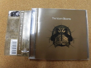 CD ザ・ブーム・ブルームス/ナイン・シップス（帯付）