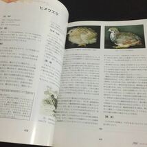 い22 JVM 2006年5月1日発行 治療 動物 獣医 犬 猫 鳥 ウイルス 小動物 野生動物 病気 腫瘍 悪性 癌 手術 高齢犬 事例 感染症 医者 細胞_画像5