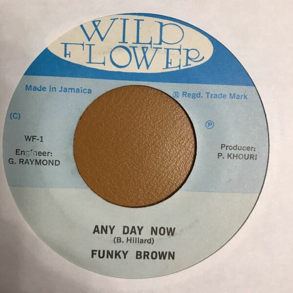 FUNKY BROWN ANY DAY NOW 7inc 入手困難