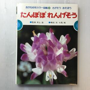 zaa-180♪たんぽぽ れんげそう―さがそう あそぼう (あかね幼年カラー図鑑 (11)) 単行本 1983/3/20 七尾 純 (著)