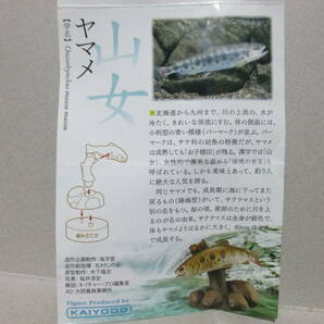 数2 バードテイルズ2 森と清流 No.6 ヤマメ 山女魚 山女 フィギュア 淡水魚 ボトルキャップ 天然水 サクラマス 桜鱒の画像7